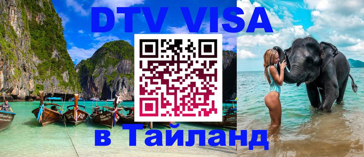 Оформление DTV визы под ключ: стоимость и тарифы, только загранпаспорт - Анкара 